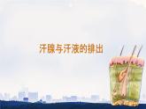 初中生物冀少版（2024）七年級下冊3.4.3 汗腺與汗液的排出 課件