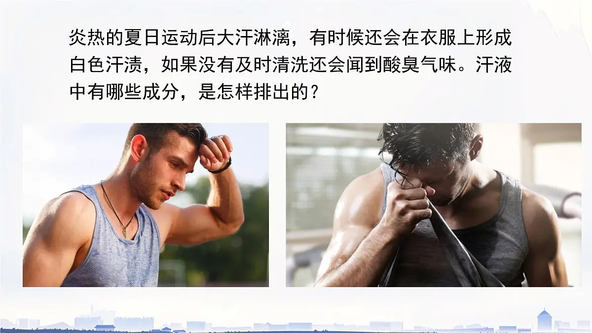 初中生物冀少版（2024）七年级下册3.4.3 汗腺与汗液的排出 课件第2页