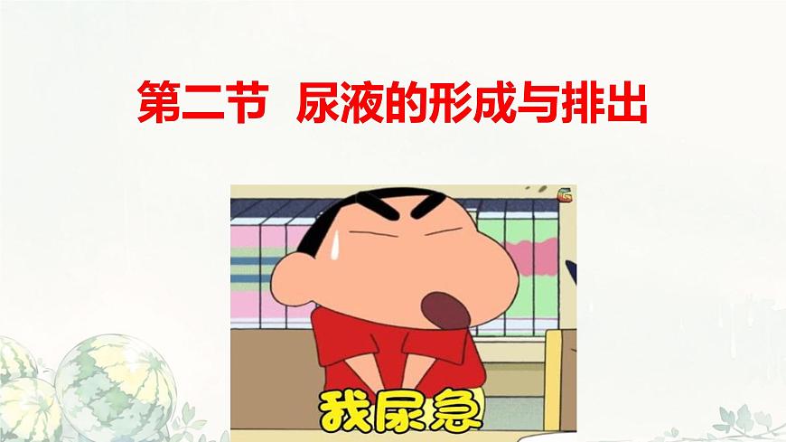 初中生物冀少版（2024）七年级下册3.4.2 尿液的形成和排出 课件第1页