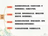 初中生物冀少版（2024）七年級(jí)下冊(cè)3.4.2 尿液的形成和排出 課件