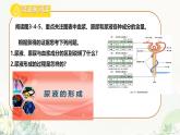初中生物冀少版（2024）七年級(jí)下冊(cè)3.4.2 尿液的形成和排出 課件