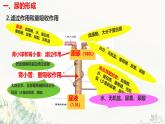 初中生物冀少版（2024）七年級(jí)下冊(cè)3.4.2 尿液的形成和排出 課件