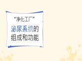 初中生物冀少版（2024）七年級(jí)下冊(cè)3.4.2 尿液的形成和排出 課件