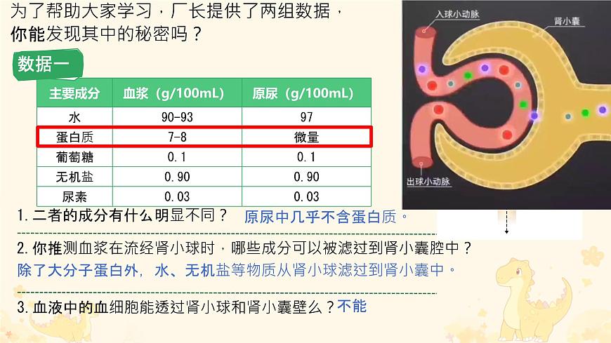 初中生物冀少版（2024）七年级下册3.4.2 尿液的形成和排出 课件第8页