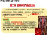 初中生物冀少版（2024）七年級下冊3.2.1 血液循環(huán)系統(tǒng)的組成 課件