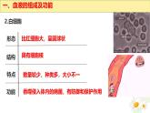 初中生物冀少版（2024）七年級下冊3.2.1 血液循環(huán)系統(tǒng)的組成 課件