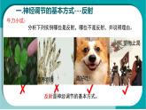 初中生物冀少版（2024）七年級(jí)下冊(cè)3.5.2 神經(jīng)調(diào)節(jié)的基本方式 課件