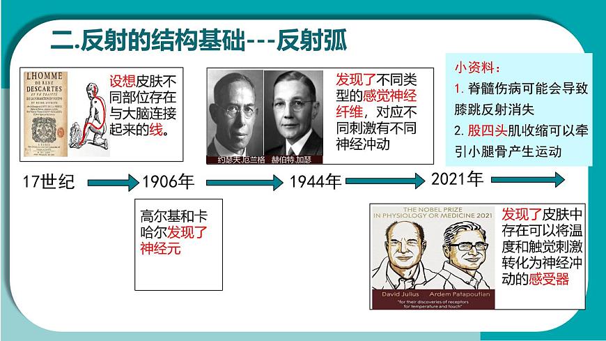 初中生物冀少版（2024）七年级下册3.5.2 神经调节的基本方式 课件第6页