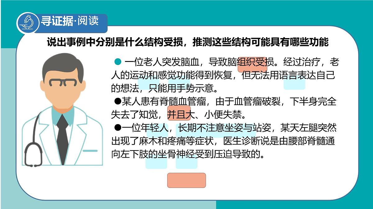 初中生物冀少版（2024）七年级下册3.5.1 神经系统的组成 课件第4页