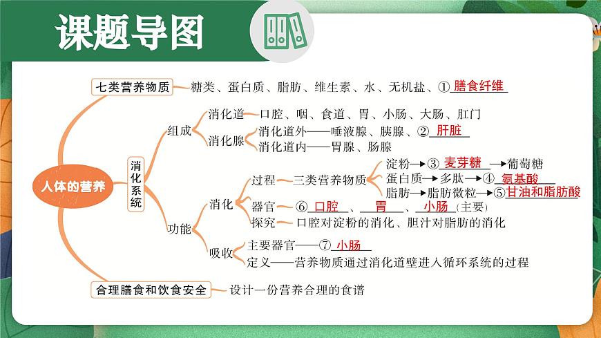 北师大版（2024新版）生物七年级下册期末复习课件： 第六章 人体的营养第2页
