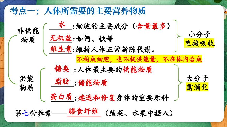 北师大版（2024新版）生物七年级下册期末复习课件： 第六章 人体的营养第3页