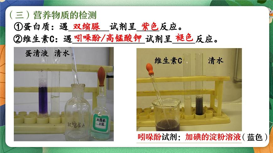 北师大版（2024新版）生物七年级下册期末复习课件： 第六章 人体的营养第5页