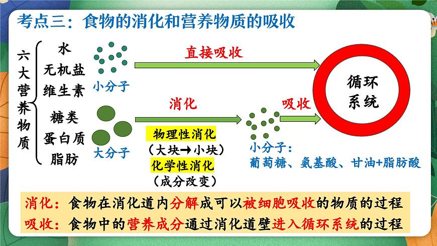 北师大版（2024新版）生物七年级下册期末复习课件： 第六章 人体的营养第8页