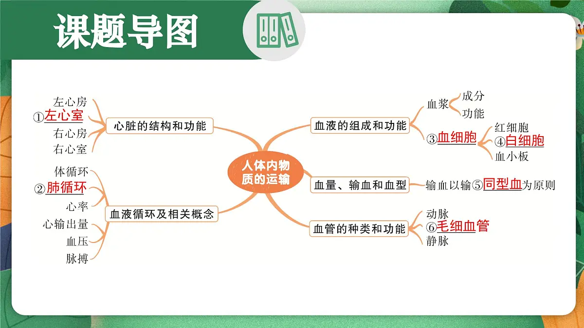 北师大版（2024新版）生物七年级下册期末复习课件：第七章 人体的物质运输第2页