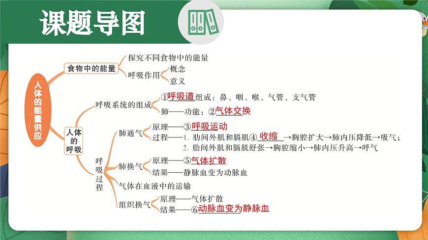 北师大版（2024新版）生物七年级下册期末复习课件：第八章 人体的能量供应第2页