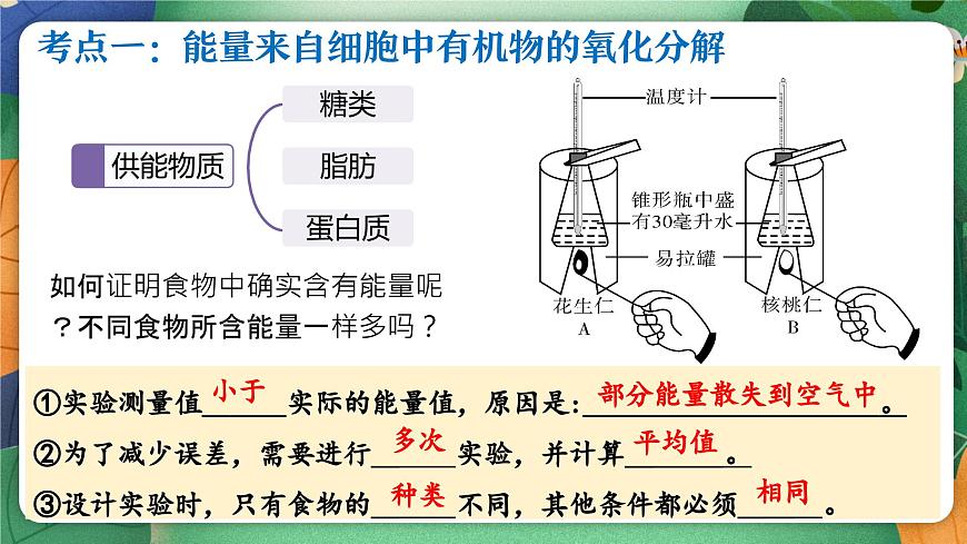 北师大版（2024新版）生物七年级下册期末复习课件：第八章 人体的能量供应第3页