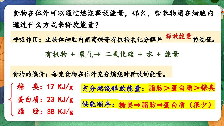 北师大版（2024新版）生物七年级下册期末复习课件：第八章 人体的能量供应第4页