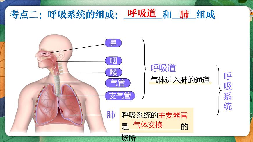 北师大版（2024新版）生物七年级下册期末复习课件：第八章 人体的能量供应第6页