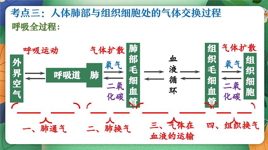 北师大版（2024新版）生物七年级下册期末复习课件：第八章 人体的能量供应第8页