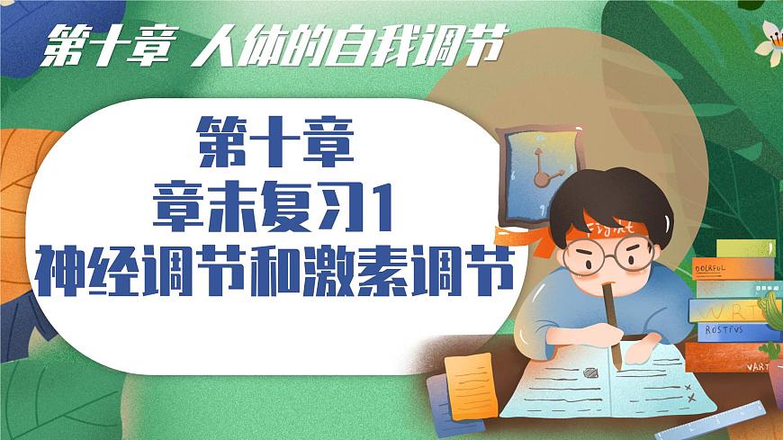 北师大版（2024新版）生物七年级下册期末复习课件：第十章 人体的自我调节（1） 神经系统第1页