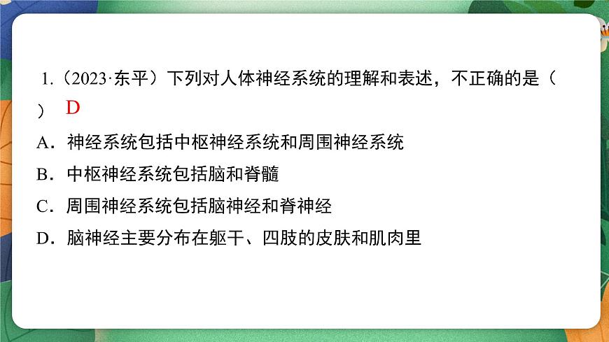 北师大版（2024新版）生物七年级下册期末复习课件：第十章 人体的自我调节（1） 神经系统第5页