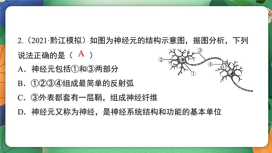 北师大版（2024新版）生物七年级下册期末复习课件：第十章 人体的自我调节（1） 神经系统第7页