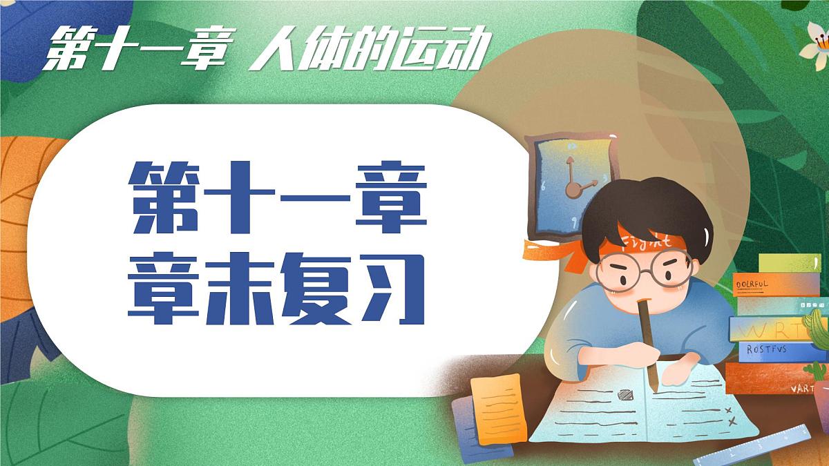 北师大版（2024新版）生物七年级下册期末复习课件：第十一章 人体的运动第1页