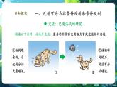 【新教材核心素養(yǎng)】北師大版生物七年級下冊 4.10.1.3神經系統(tǒng)與神經調節(jié)（第3課時）（課件+單元教學設計+教案+思維導圖）