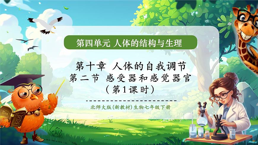 4.10.2.1感受器和感觉器官（第一课时） 课件第1页