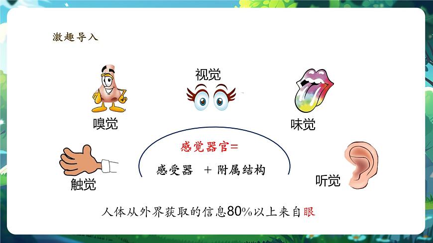 4.10.2.1感受器和感觉器官（第一课时） 课件第5页