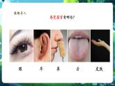 【新教材核心素養(yǎng)】北師大版生物七年級下冊 4.10.2.3感受器和感覺器官（第3課時）（課件+單元教學(xué)設(shè)計+教案+思維導(dǎo)圖）