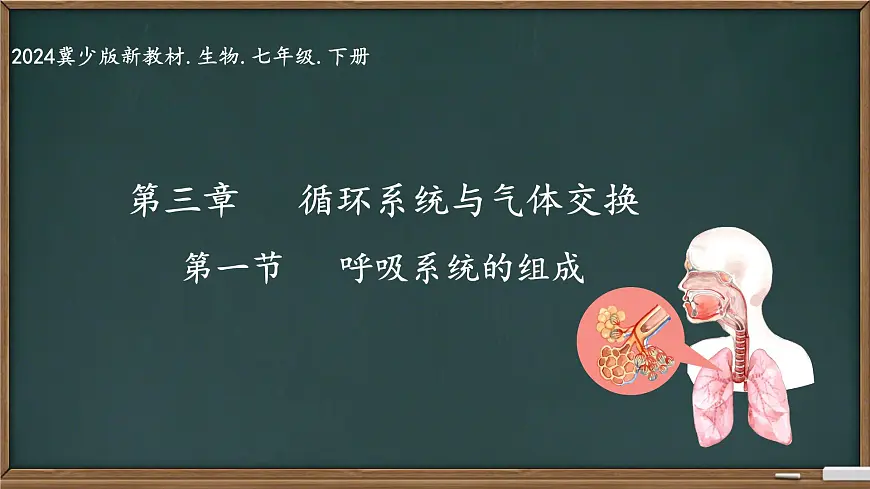 初中生物冀少版（2024）七年级下册3.3.1 呼吸系统的组成 课件第1页
