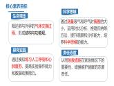 初中生物冀少版（2024）七年級下冊3.3.2.1 肺與外界的氣體交換 課件