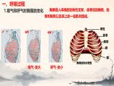初中生物冀少版（2024）七年級下冊3.3.2.1 肺與外界的氣體交換 課件