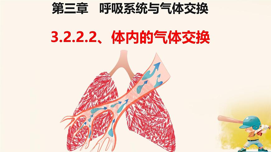 初中生物冀少版（2024）七年级下册3.3.2.2 体内的气体交换 课件第1页
