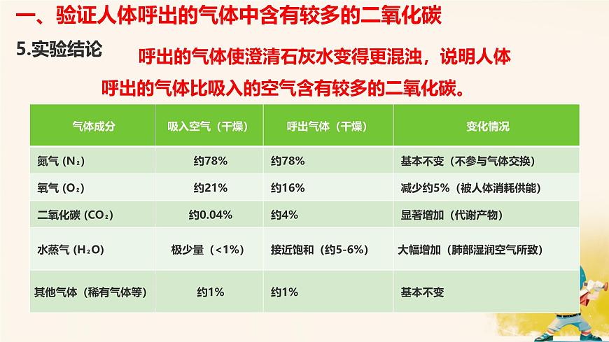 初中生物冀少版（2024）七年级下册3.3.2.2 体内的气体交换 课件第5页
