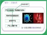 初中生物人教版（2024）七年級(jí)下冊(cè)4.1.1 人的生殖 課件