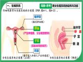 初中生物人教版（2024）七年級(jí)下冊(cè)4.1.1 人的生殖 課件