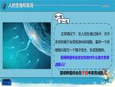 初中生物人教版（2024）七年級(jí)下冊(cè)4.1.1 人的生殖 課件