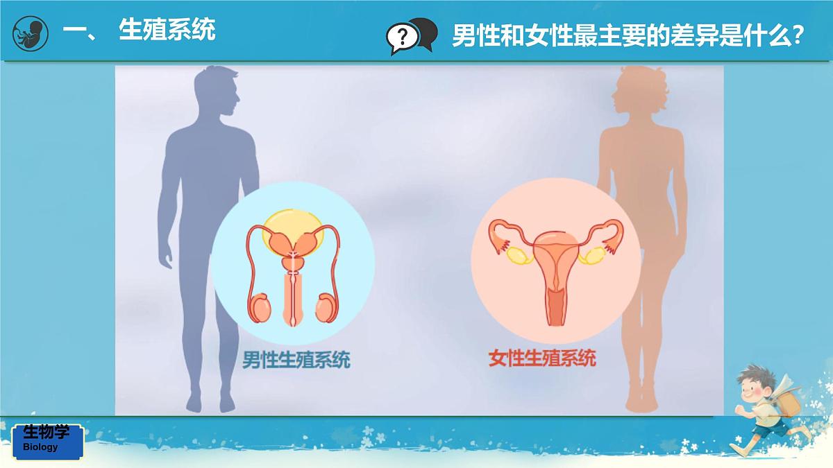 初中生物人教版（2024）七年级下册4.1.1 人的生殖 课件第4页