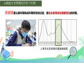 初中生物人教版（2024）七年級下冊4.1.2 青春期 課件