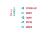 初中生物冀少版（2024）七年級(jí)下冊(cè)3.3.2 呼吸的過程－呼吸運(yùn)動(dòng)模型實(shí)驗(yàn) 課件