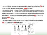 人教版七年級生物下冊中考新動向課件