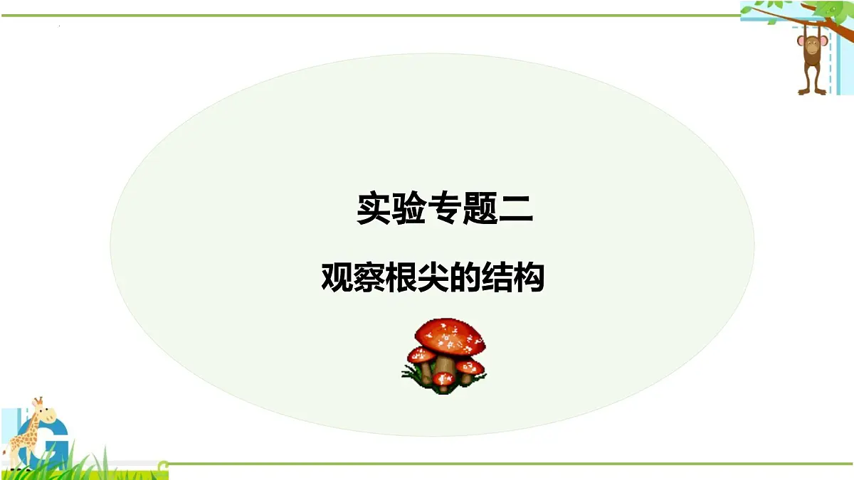 实验二 观察根尖的结构-【实验专攻】2025学年七年级生物下册实验精讲课人教版课件第1页