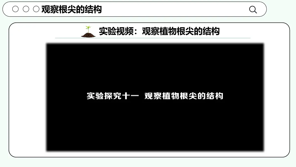 实验二 观察根尖的结构-【实验专攻】2025学年七年级生物下册实验精讲课人教版课件第6页