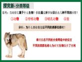 3.4.2 從種到界（課件） 2025學(xué)年六年級生物下冊同步精品課堂（魯科版五四學(xué)制2024）
