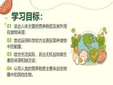 初中生物人教版（2024）七年級下冊4.2.1 食物中的營養(yǎng)物質(zhì) 課件