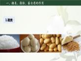 初中生物人教版（2024）七年級下冊4.2.1 食物中的營養(yǎng)物質(zhì) 課件