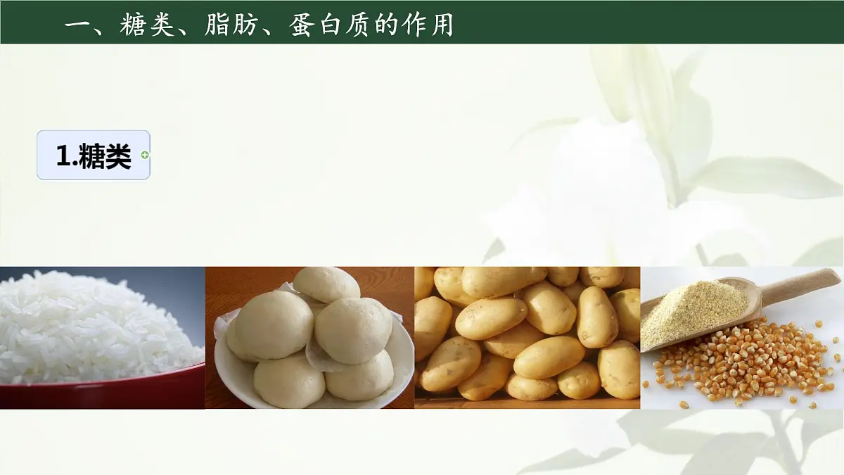 初中生物人教版（2024）七年级下册4.2.1 食物中的营养物质 课件第3页