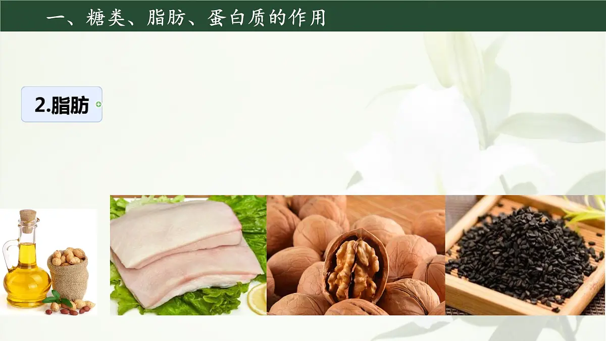 初中生物人教版（2024）七年级下册4.2.1 食物中的营养物质 课件第4页